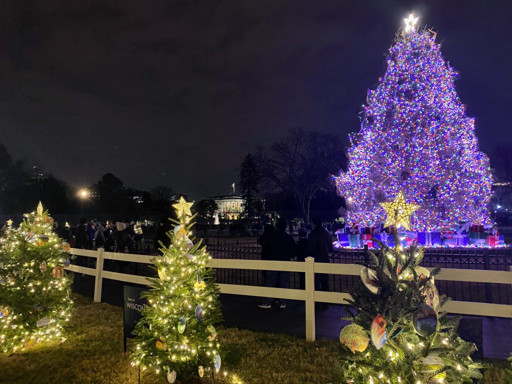 Nighttime photo of christmas trees with lights at the Pageant of Peace and the White House in the background
