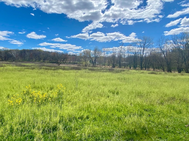 Large, open pasture with green grass and blue sky with clouds along hiking trail at Monocacy National Battlefield