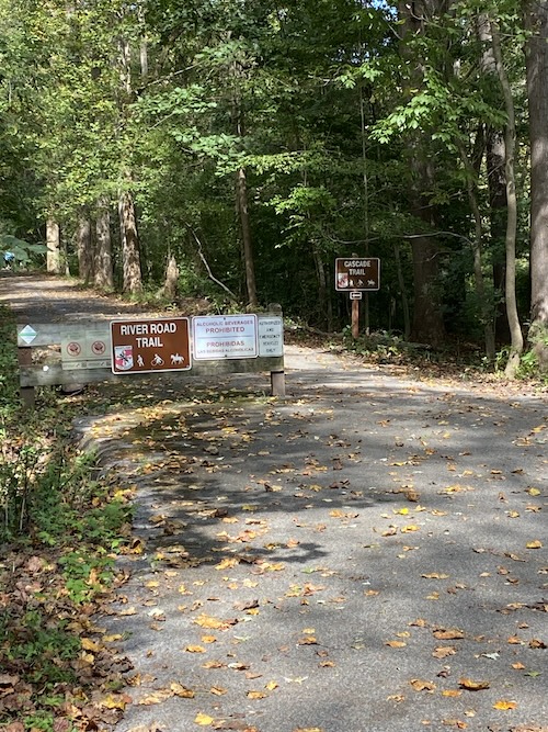 Brown sign at hiking trailhead pointing to the Cascade Trail at Patapsco Valley State Park