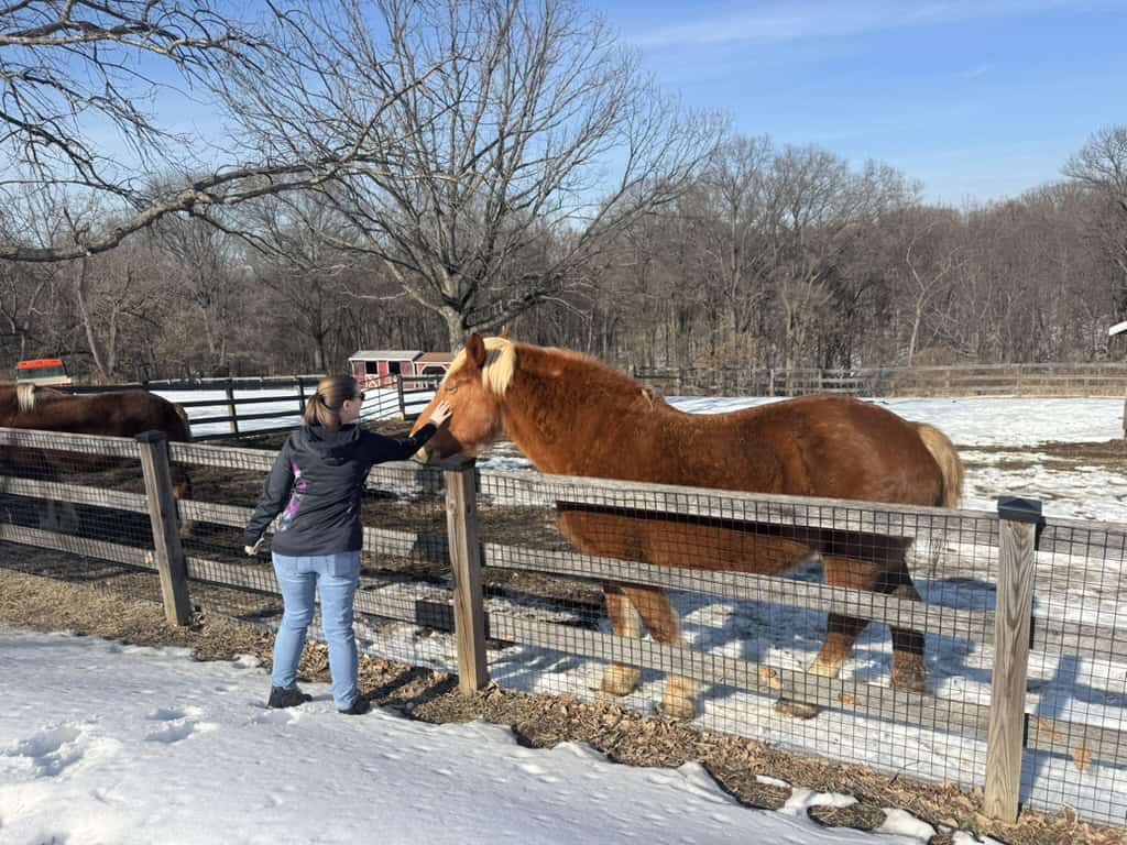 Woman petting brown horse at fenceline
