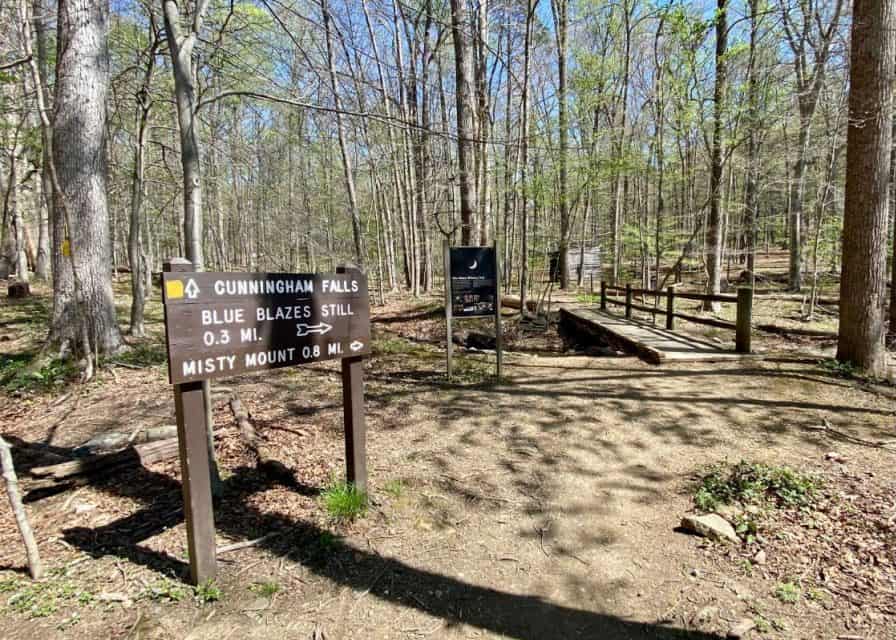 Brown Trail sign along hiking trail to Blue Blazes Still, 0.3 miles at Catoctin National Park in Maryland