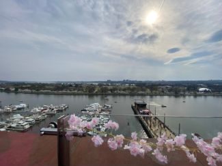 Looking out at water and boats from rooftop bar